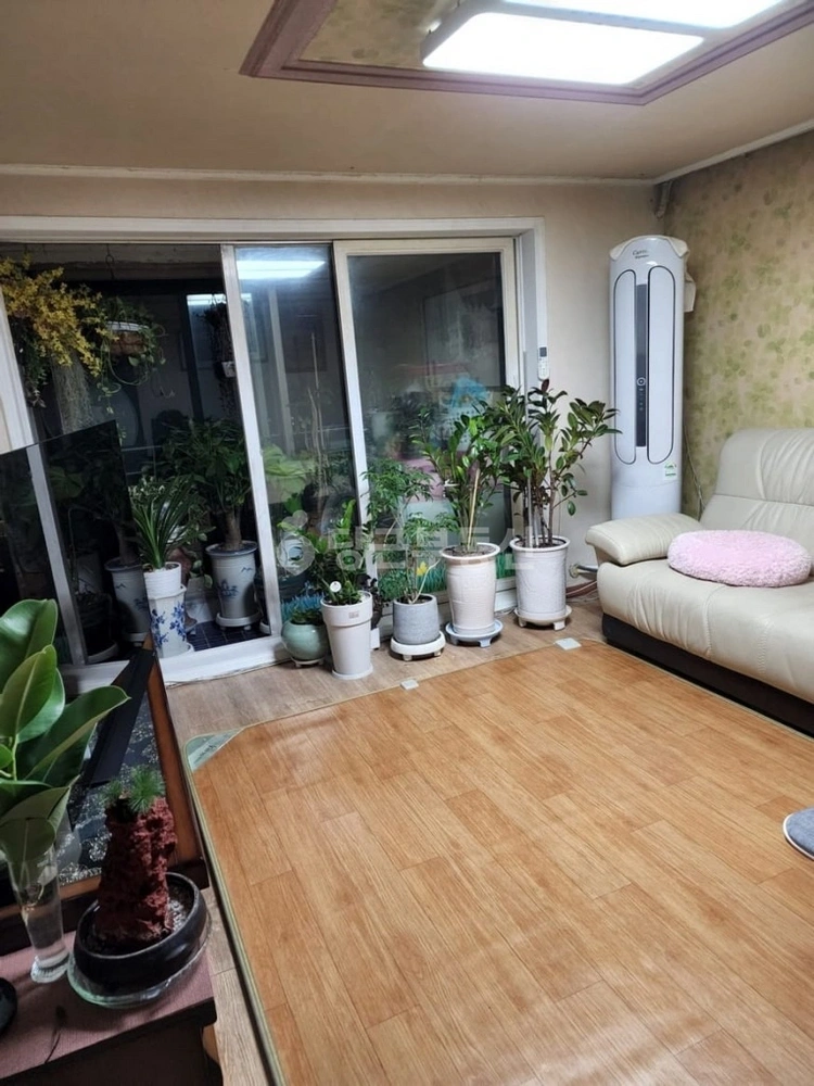 경기도 안산시 상록구 본오동 빌라(투룸 이상) 사진 1