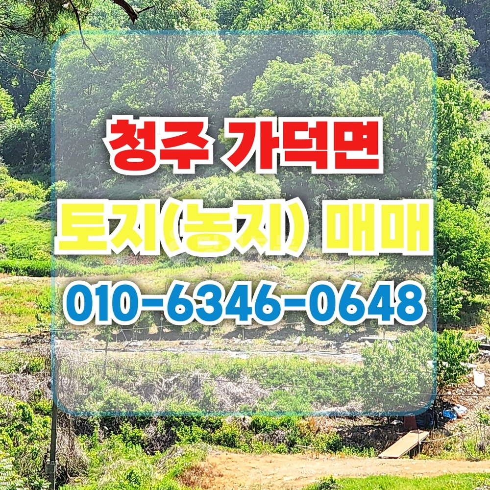 충청북도 청주시 상당구 가덕면 토지 사진 1