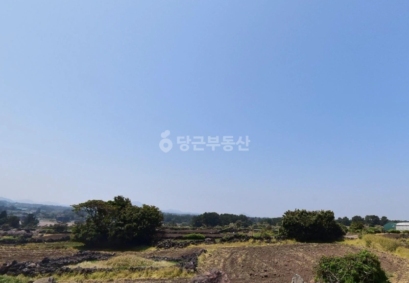 제주특별자치도 제주시 구좌읍 토지 사진 1