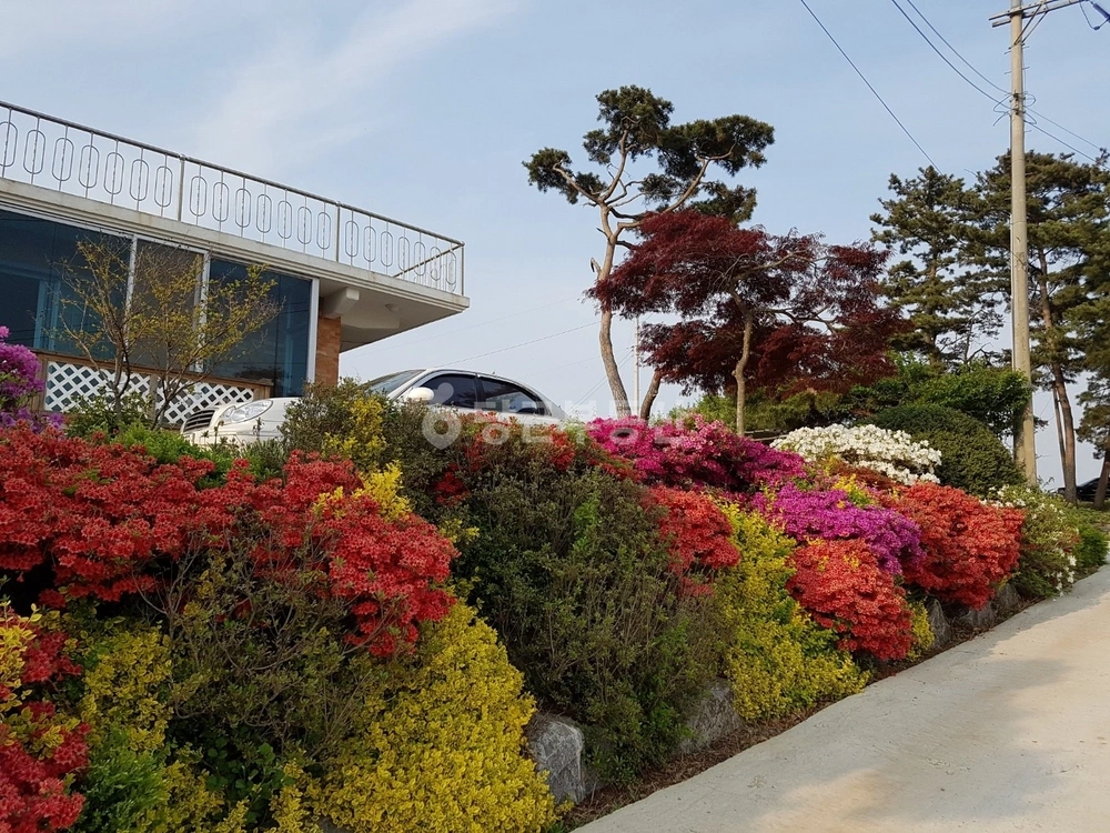 충청남도 서산시 음암면 단독/전원주택 사진 1