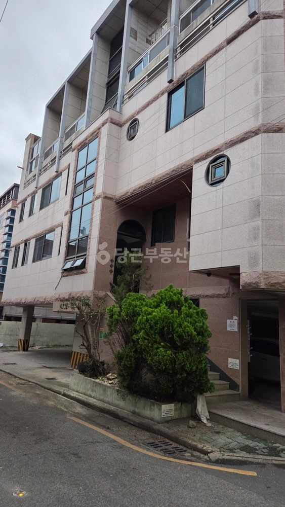 대구광역시 남구 대명동 단독/전원주택 사진 1