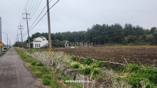 제주특별자치도 서귀포시 성산읍 토지 사진 1