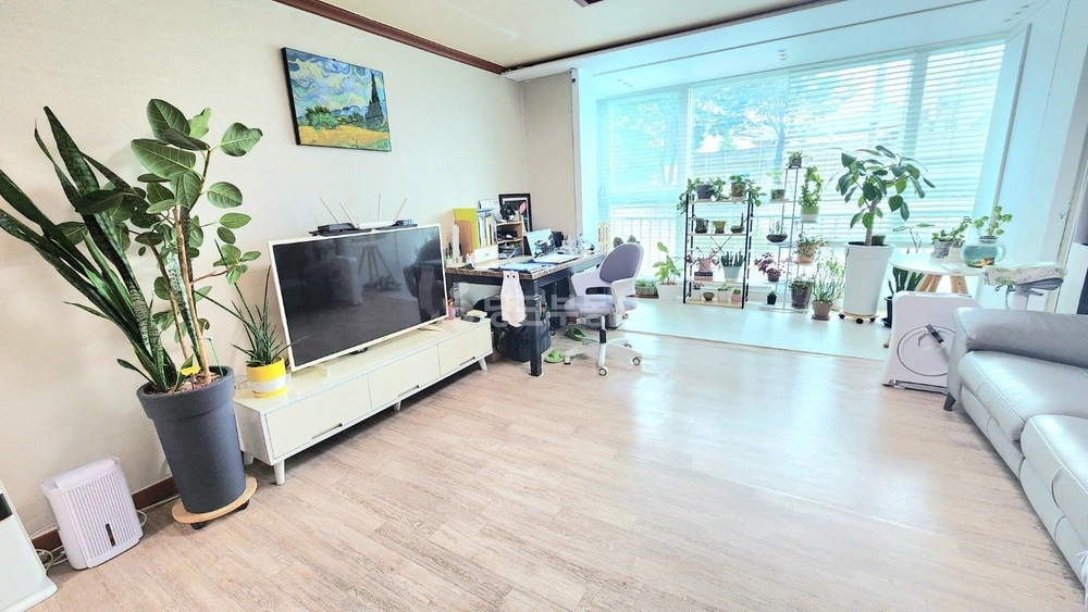 강원특별자치도 속초시 금호동 아파트 사진 1