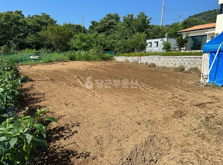 경기도 가평군 가평읍 토지 사진 1