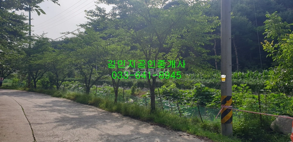 강원특별자치도 강릉시 강동면 토지 사진 1