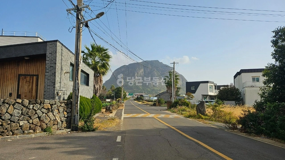 제주특별자치도 서귀포시 안덕면 단독/전원주택 사진 1