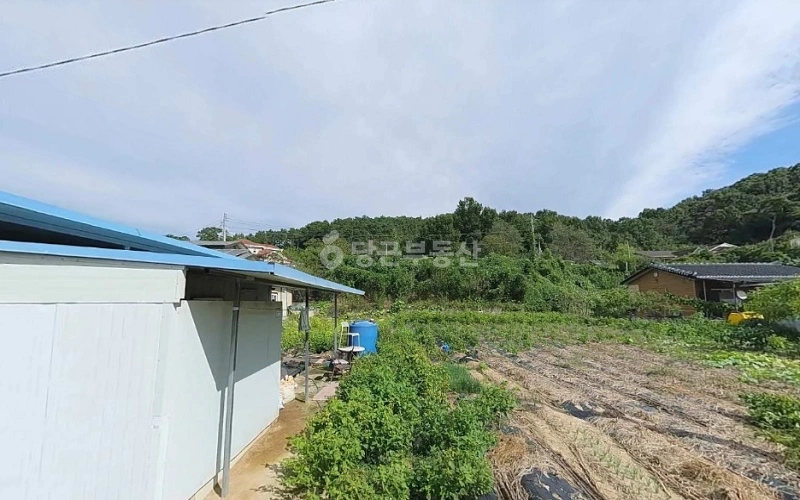 경상북도 성주군 월항면 토지 사진 1
