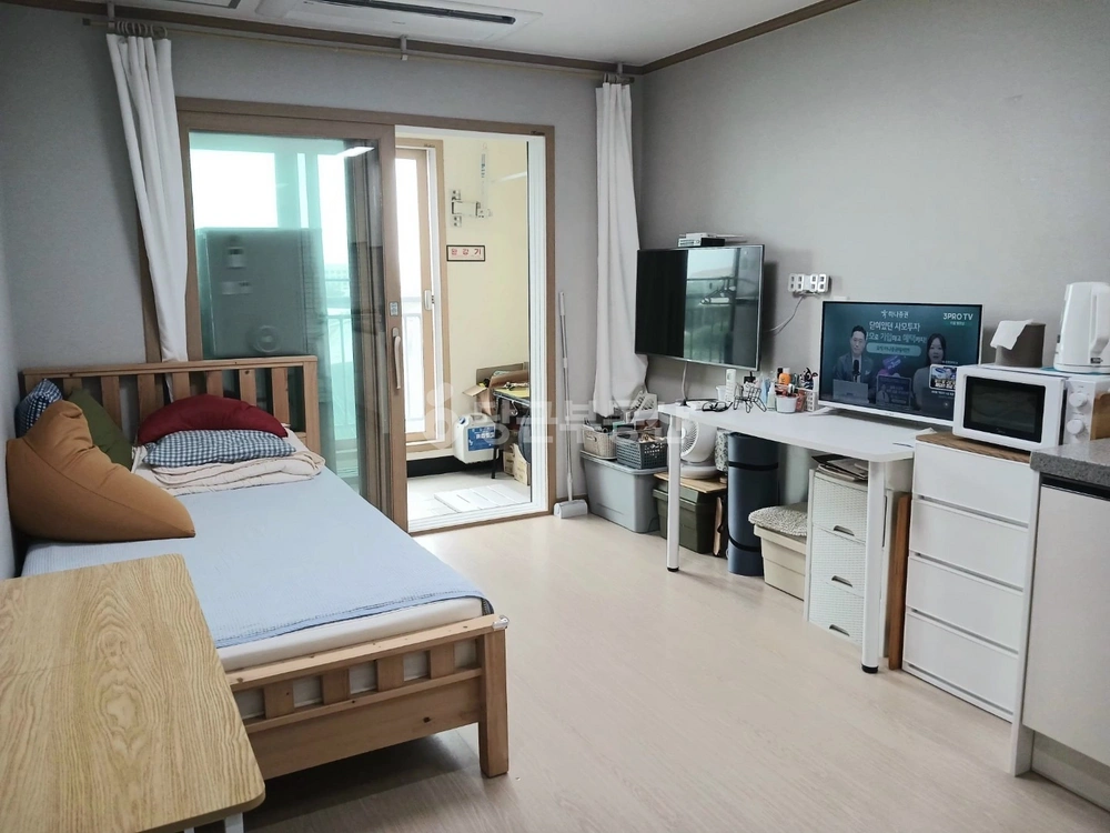 제주특별자치도 서귀포시 법환동 원룸 사진 1