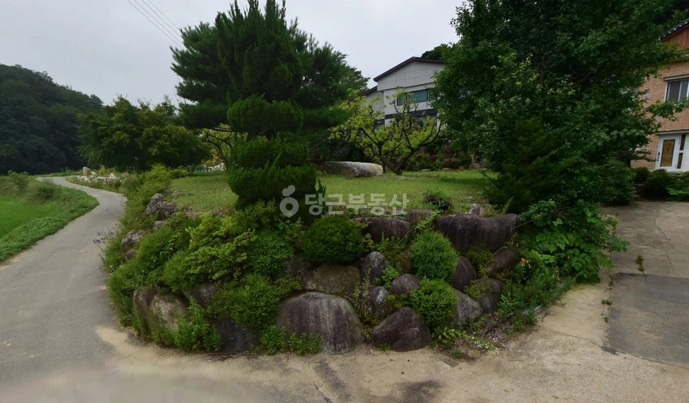 강원특별자치도 양양군 강현면 단독/전원주택 사진 1