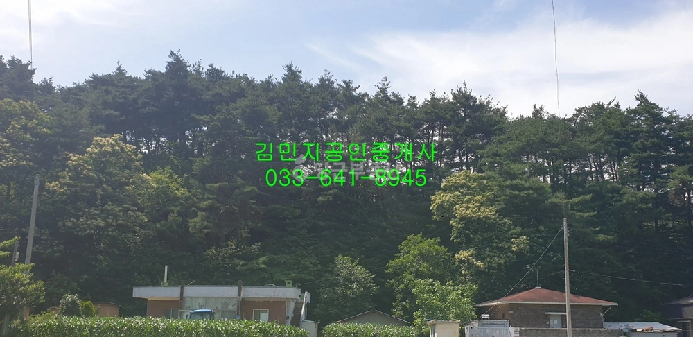 강원특별자치도 강릉시 강동면 토지 사진 1