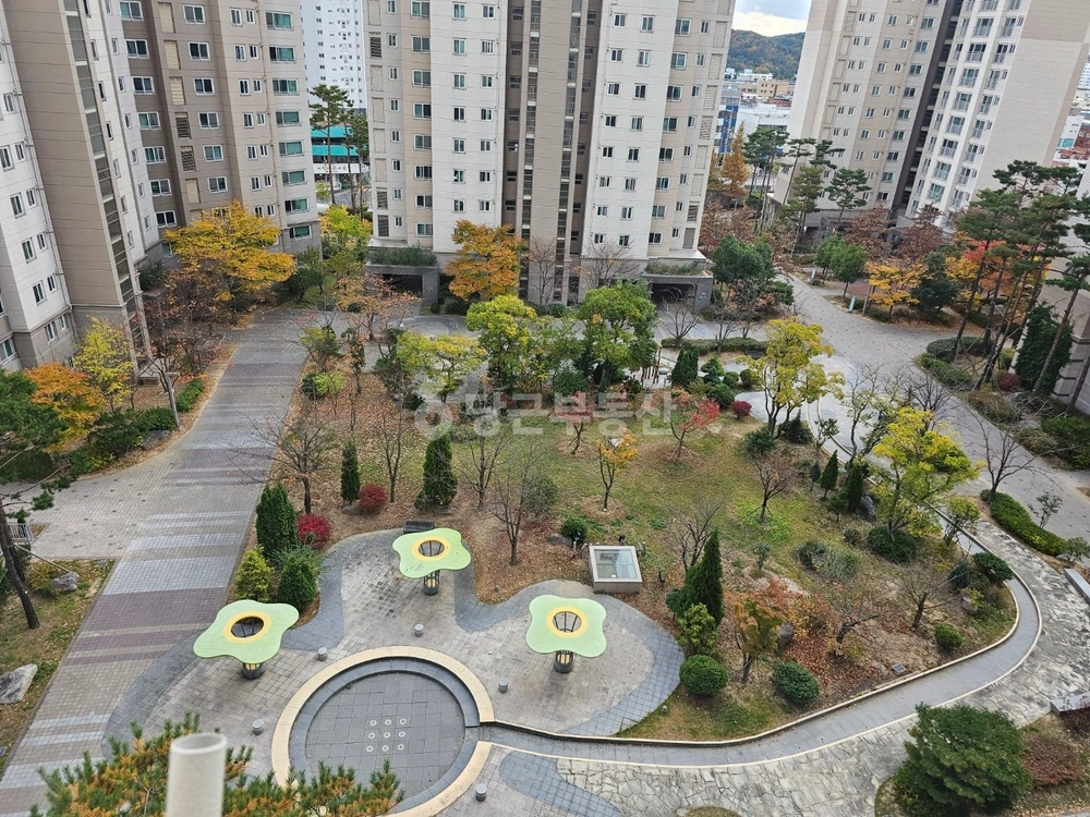 울산광역시 남구 신정동 아파트 사진 1