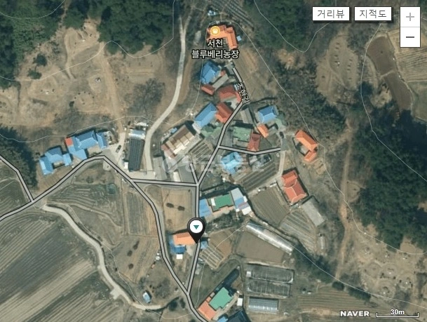 충청남도 서천군 시초면 토지 사진 1