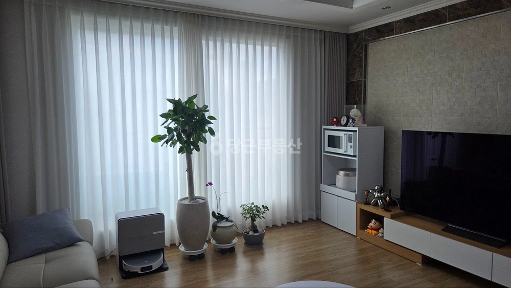 대전광역시 유성구 원신흥동 빌라(투룸 이상) 사진 1
