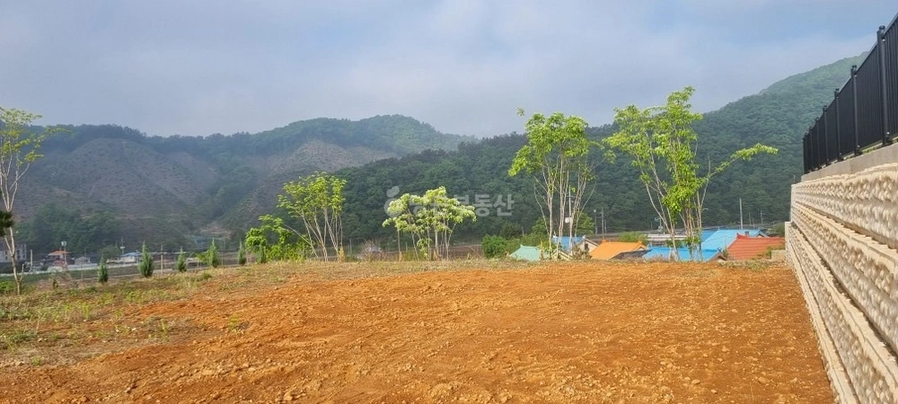 충청북도 진천군 문백면 토지 사진 1