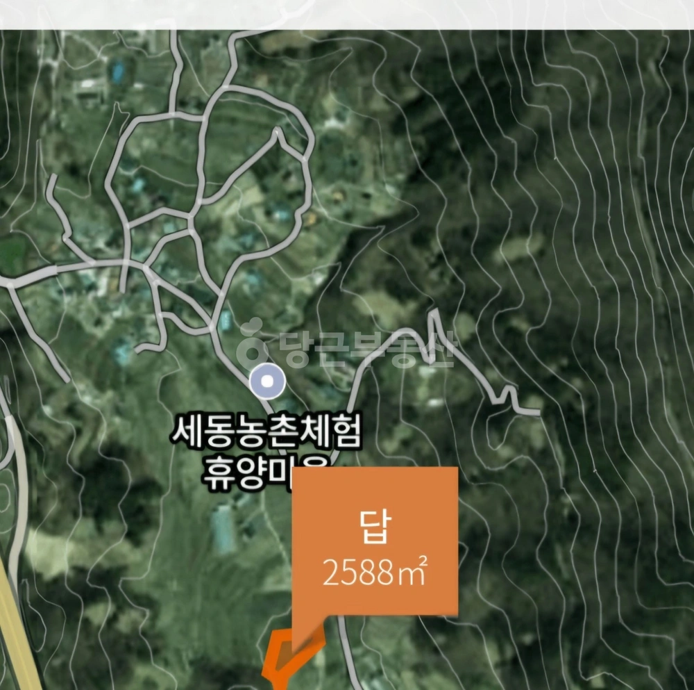 대전광역시 유성구 세동 토지 사진 1