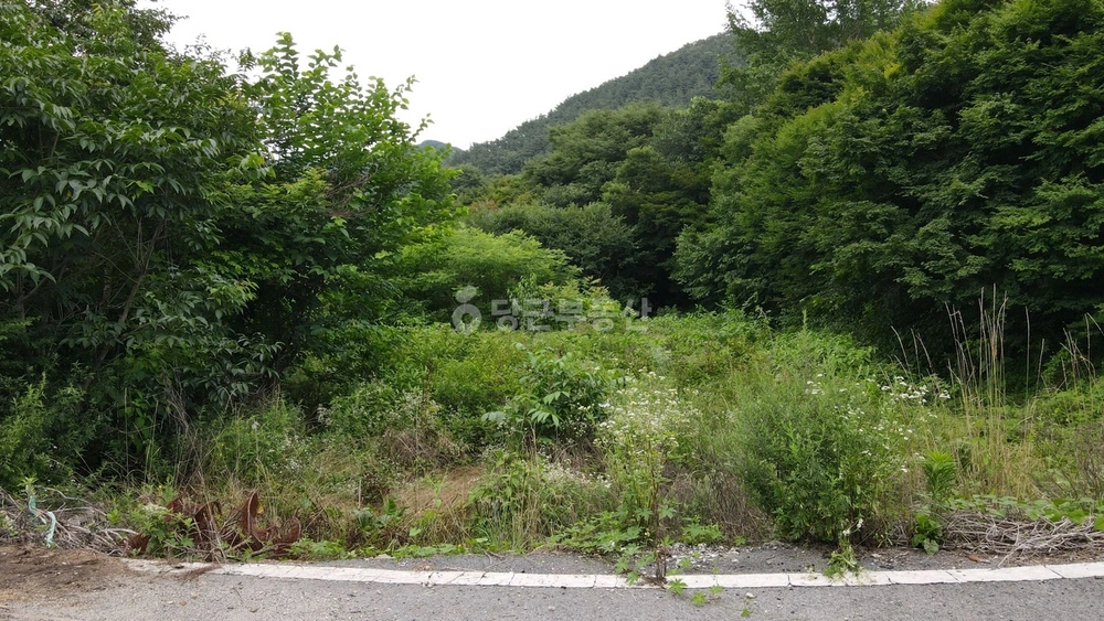 전북특별자치도 완주군 소양면 토지 사진 1