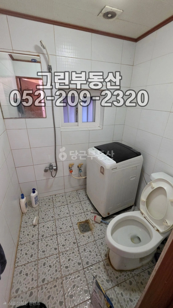 울산광역시 동구 전하동 원룸 사진 1