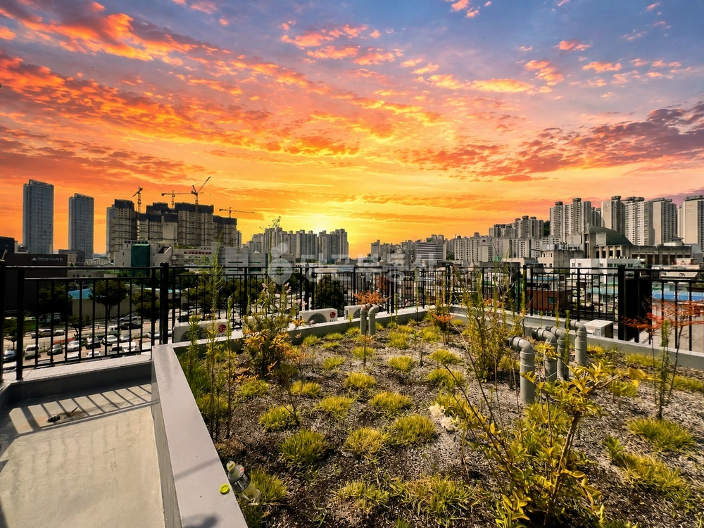 서울특별시 성동구 행당동 빌라(투룸 이상) 사진 1