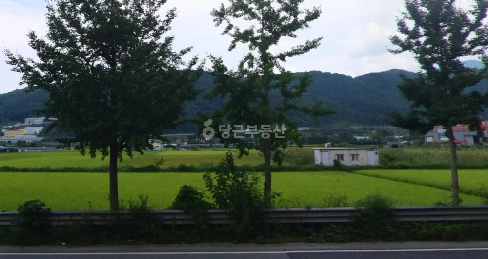 울산광역시 울주군 웅촌면 토지 사진 1