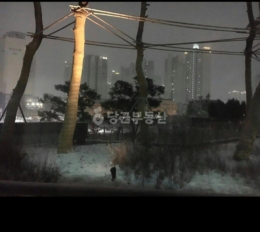 세종특별자치시 아름동 아파트 사진 1