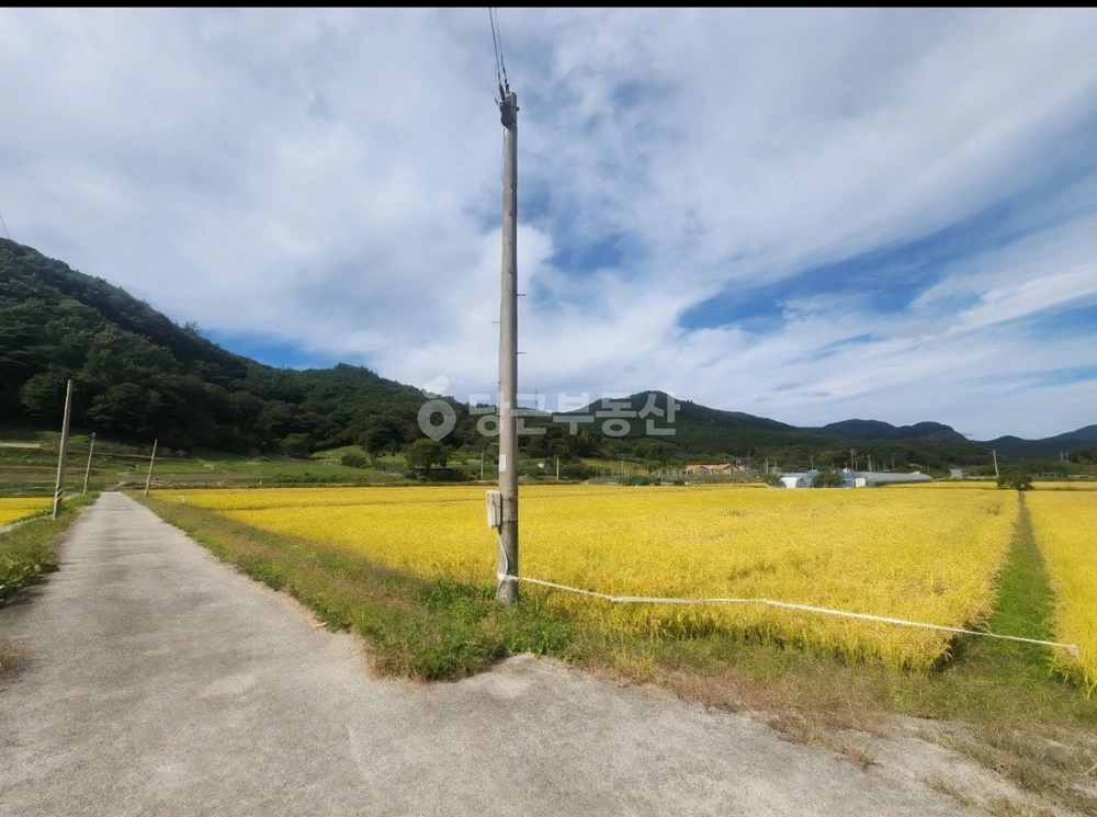 전남광주통합특별시 화순군 동복면 토지 사진 1