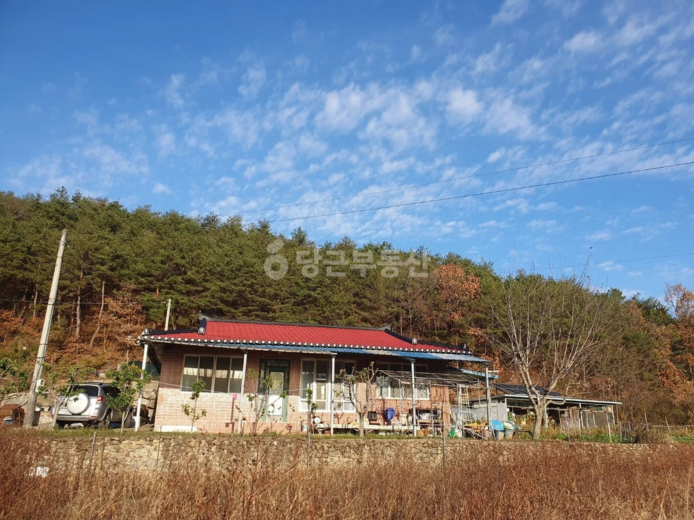 대구광역시 군위군 효령면 단독/전원주택 사진 1