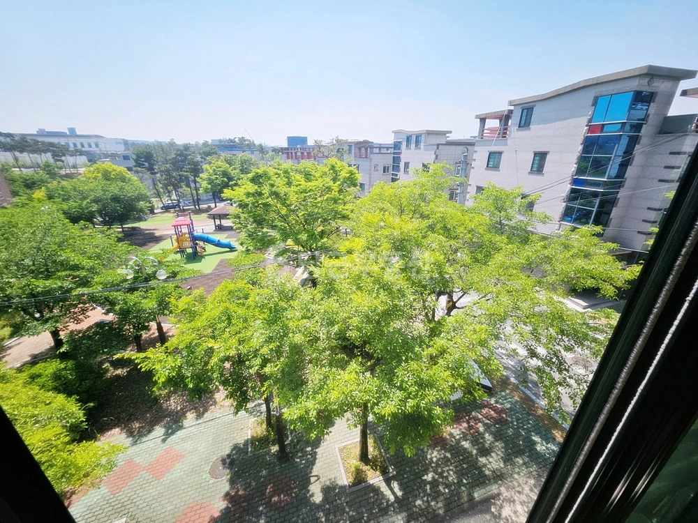 대구광역시 달성군 구지면 빌라(투룸 이상) 사진 1