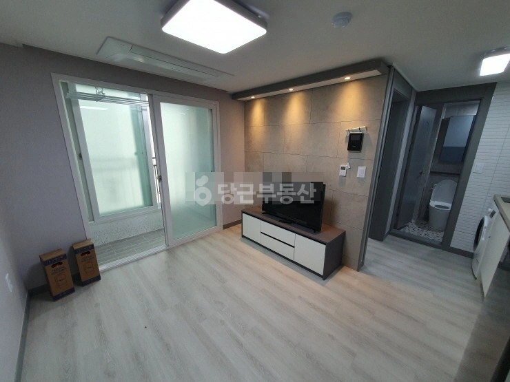 대전광역시 중구 용두동 원룸 사진 1