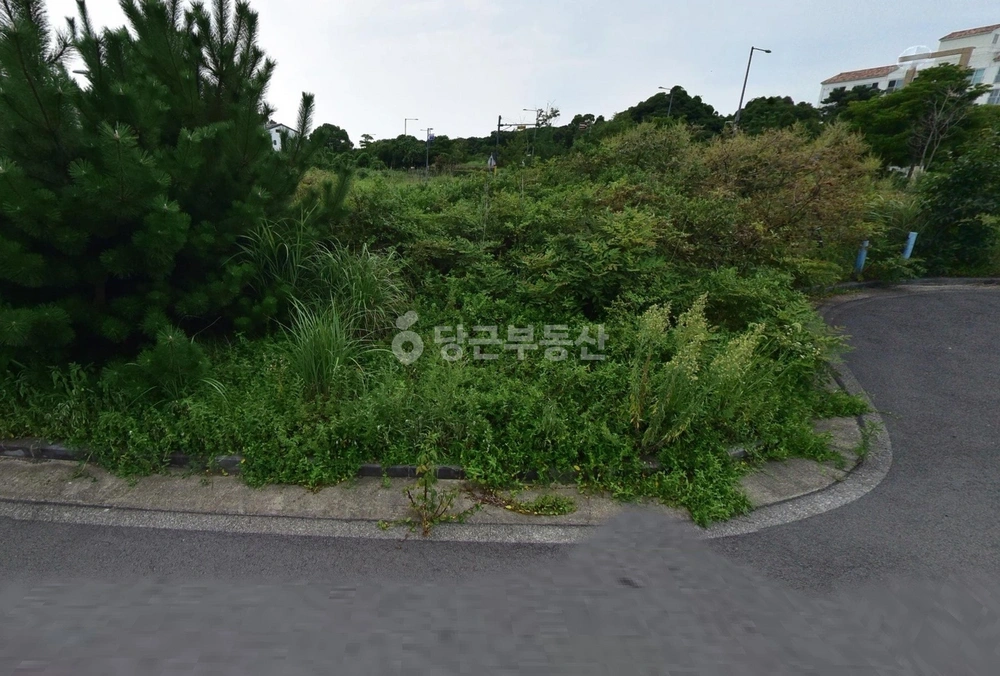 제주특별자치도 서귀포시 대정읍 토지 사진 1