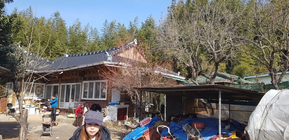 전남광주통합특별시 장성군 남면 토지 사진 1