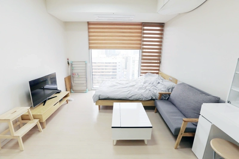 서울특별시 강남구 역삼동 오피스텔 사진 1