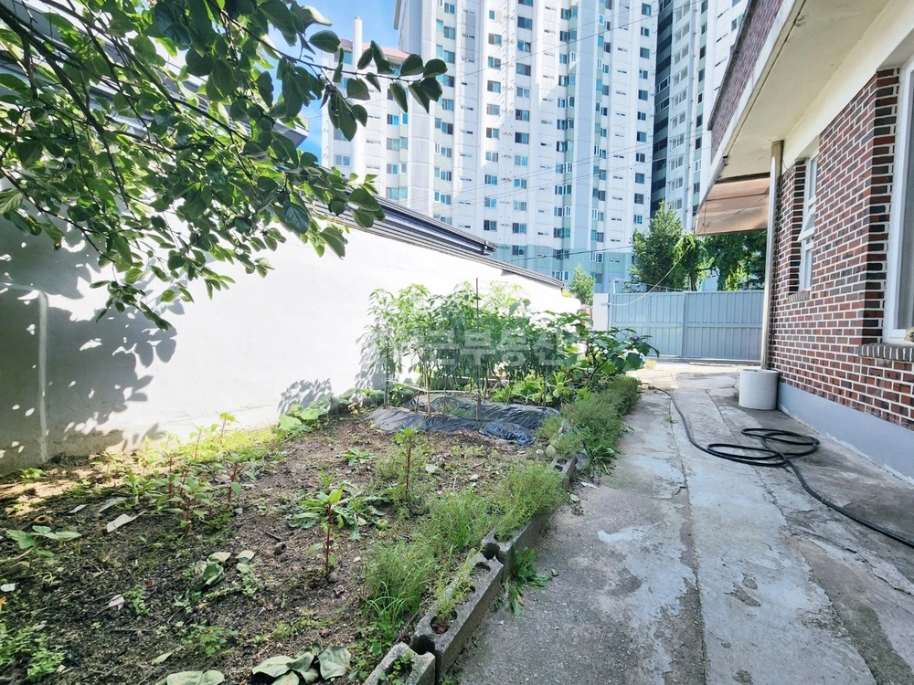 전북특별자치도 전주시 덕진구 우아동3가 단독/전원주택 사진 1
