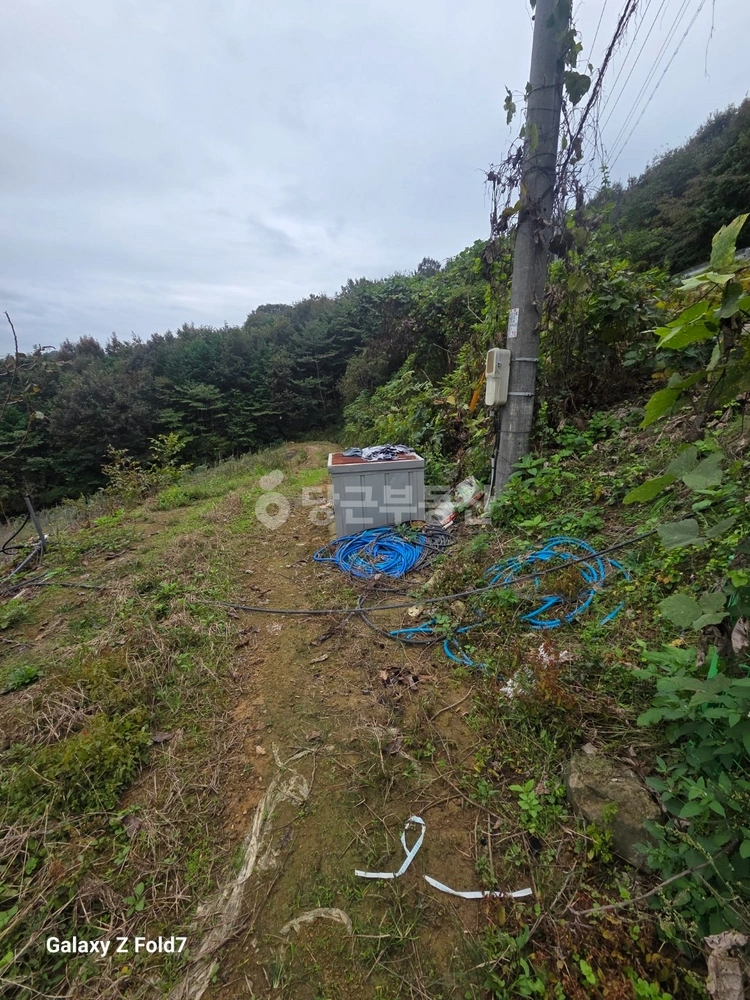 전북특별자치도 임실군 신덕면 토지 사진 1
