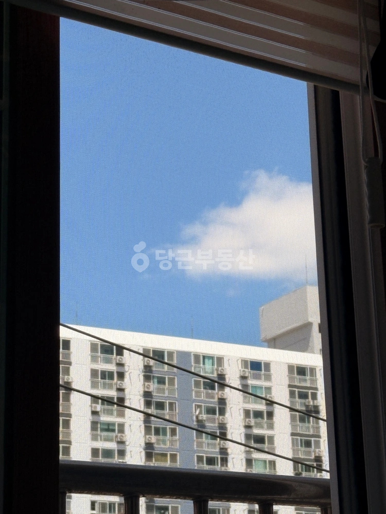 충청남도 천안시 동남구 봉명동 빌라(투룸 이상) 사진 1