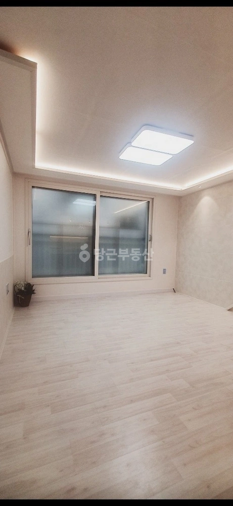 경기도 부천시 오정구 고강동 빌라(투룸 이상) 사진 1