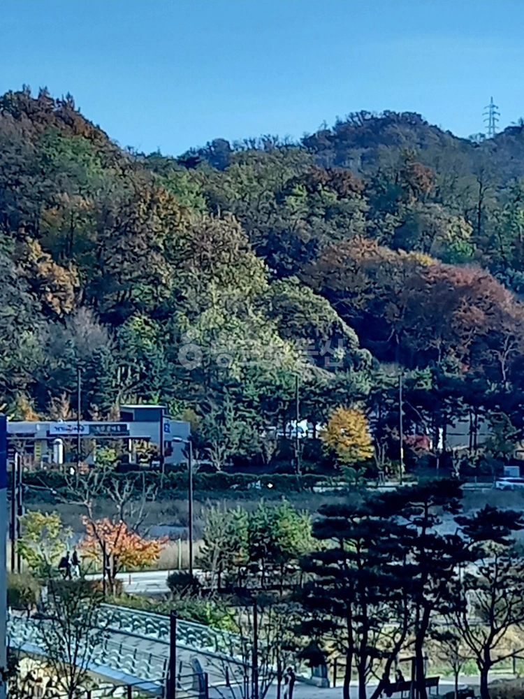경기도 고양시 덕양구 향동동 사무실 사진 1