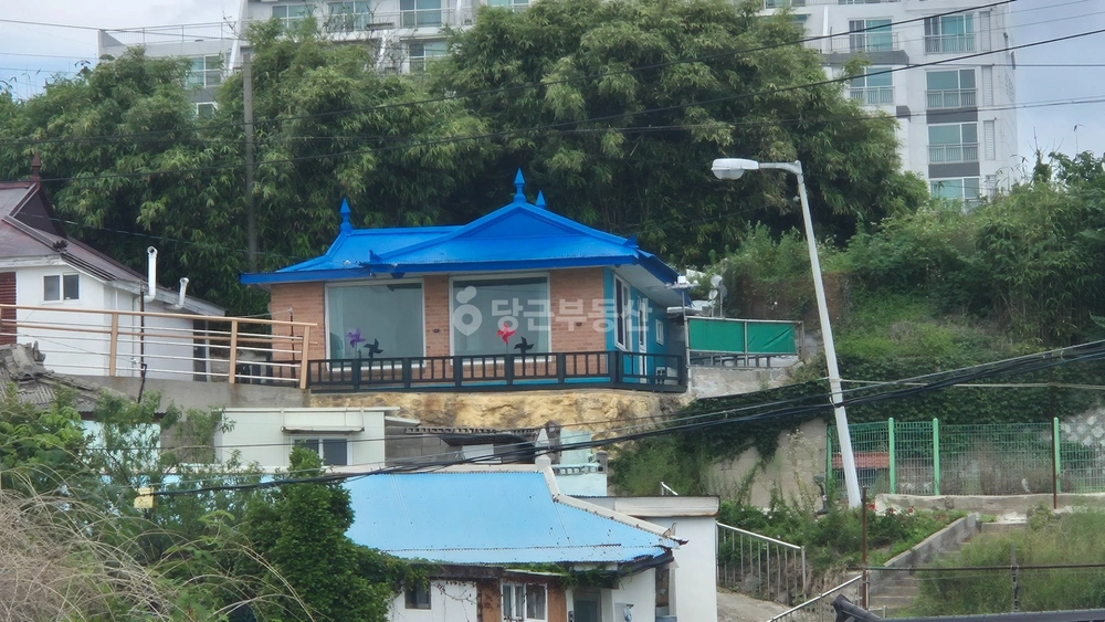 강원특별자치도 강릉시 주문진읍 단독/전원주택 사진 1