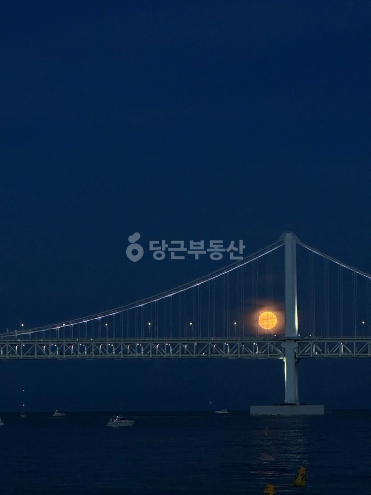 부산광역시 수영구 광안동 상가 사진 1
