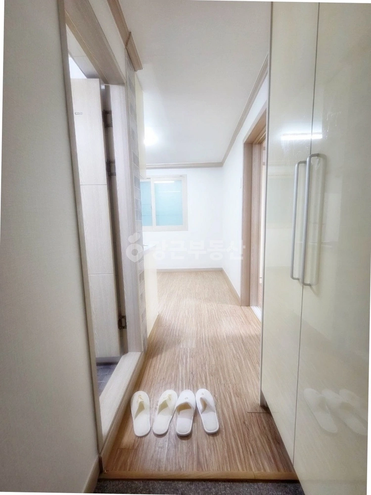대구광역시 수성구 중동 빌라(투룸 이상) 사진 1