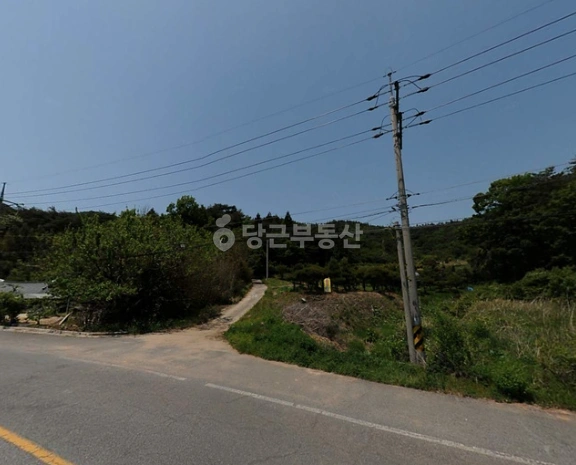 전남광주통합특별시 영광군 묘량면 토지 사진 1