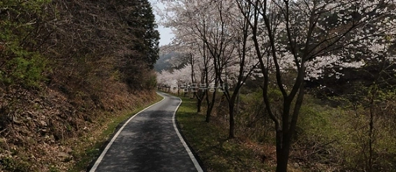 전남광주통합특별시 화순군 동복면 토지 사진 1