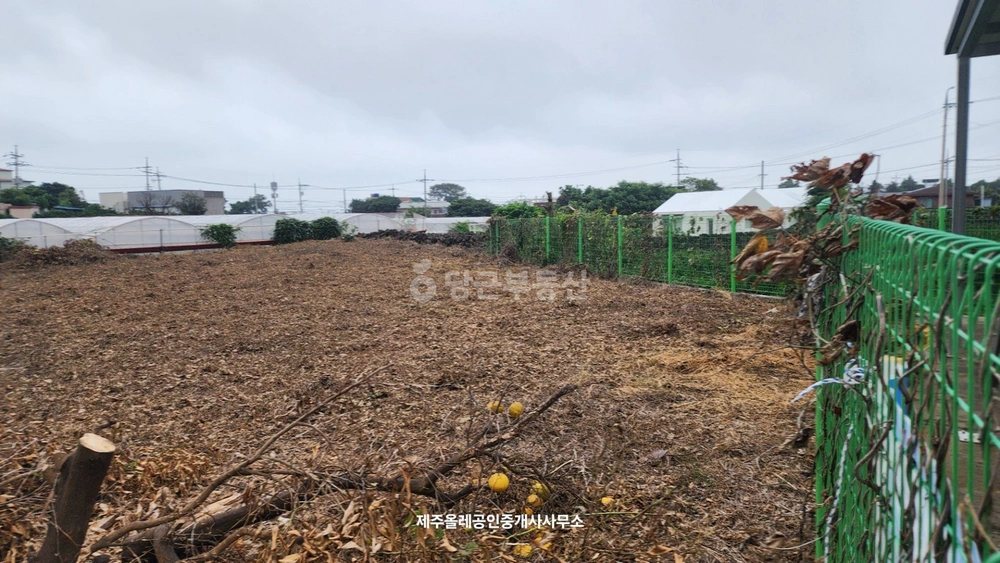 제주특별자치도 서귀포시 하효동 토지 사진 1