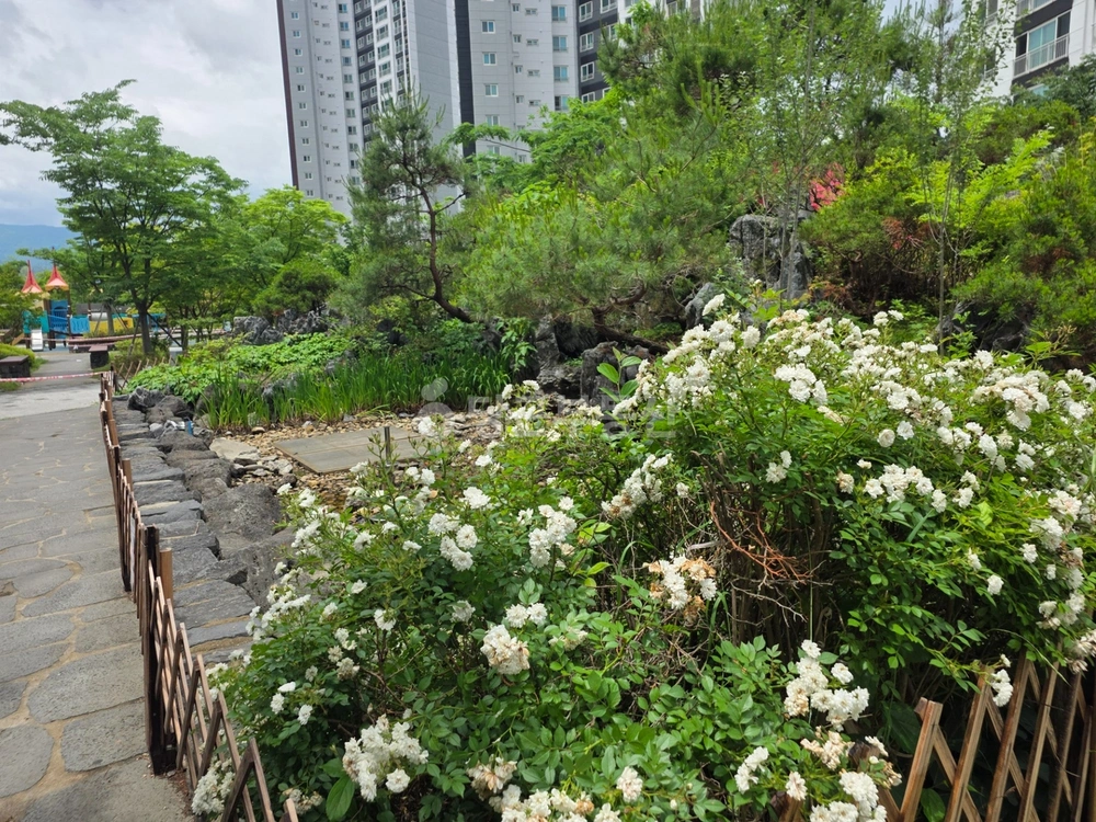 경상남도 창원시 마산회원구 합성동 아파트 사진 1