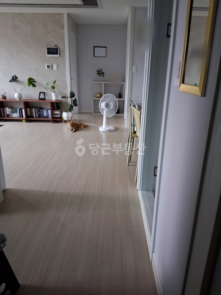 경기도 광주시 초월읍 빌라(투룸 이상) 사진 1