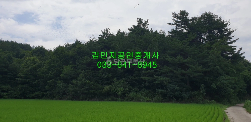 강원특별자치도 강릉시 사천면 토지 사진 1