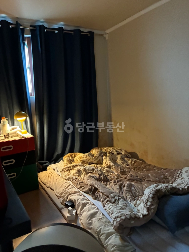 서울특별시 마포구 신수동 원룸 사진 1