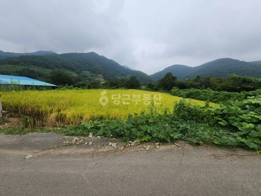 전남광주통합특별시 화순군 동면 토지 사진 1