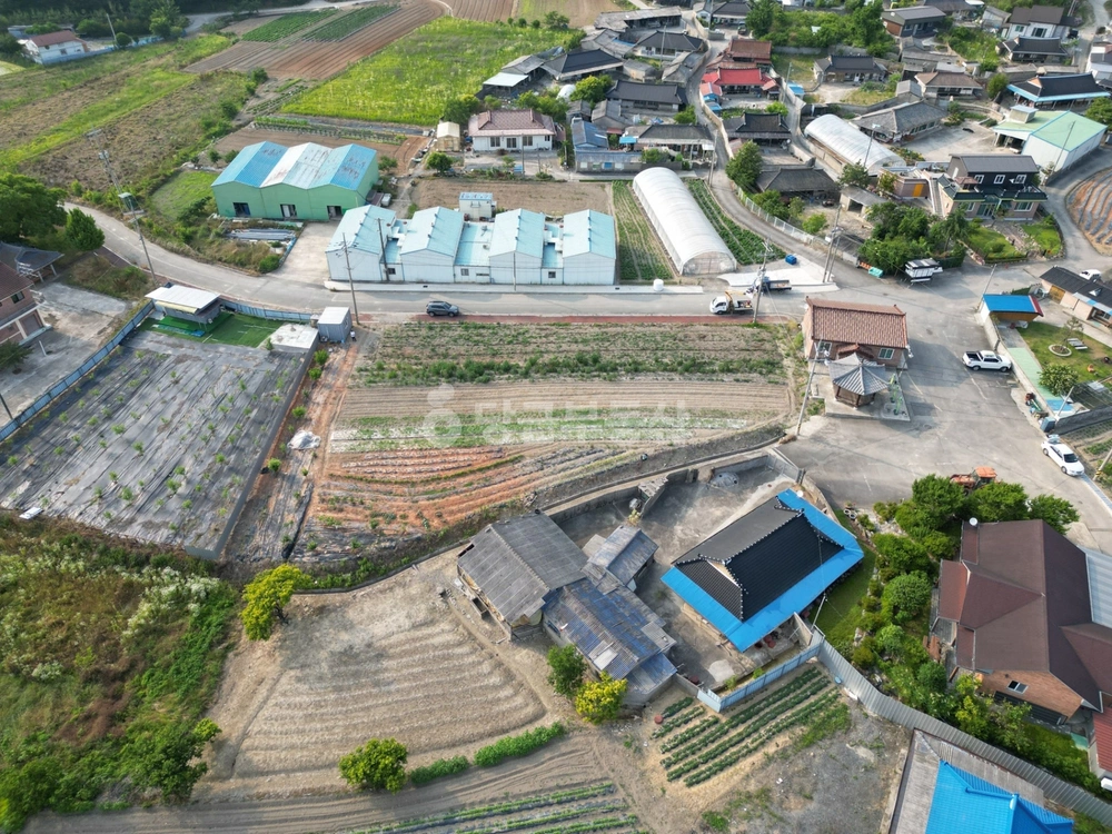 전남광주통합특별시 함평군 학교면 토지 사진 1