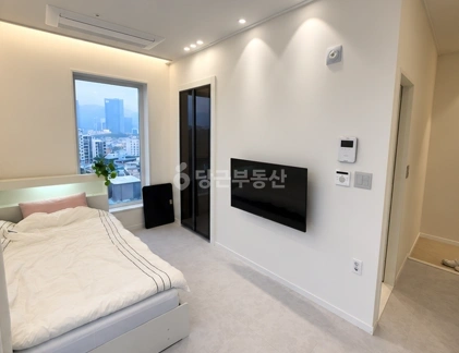 부산광역시 수영구 수영동 오피스텔 사진 1