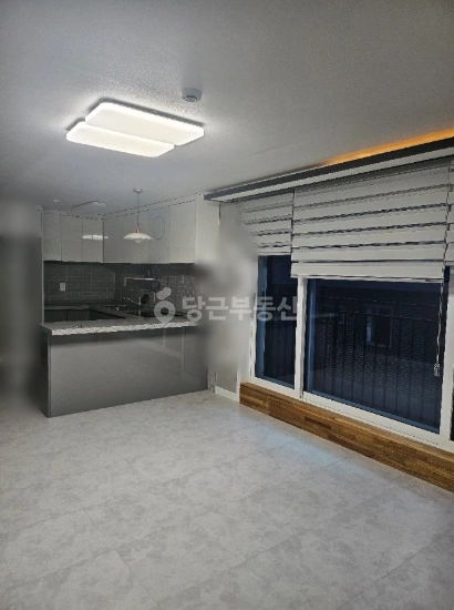대전광역시 서구 도안동 빌라(투룸 이상) 사진 1